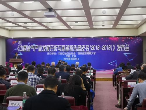 《中国油气产业发展分析与展望报告蓝皮书(2...
